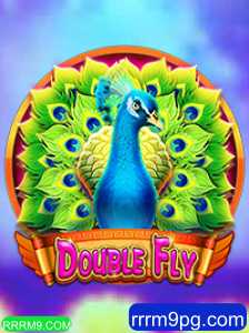 Explorando o Mundo de DoubleFly: Um Guia Completo